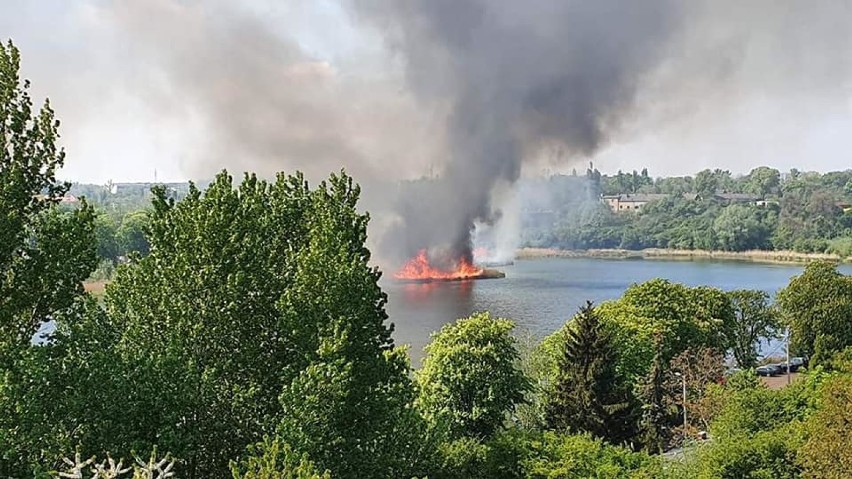 Gniezno: pożar nad jeziorem Świętokrzyskim