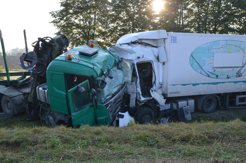 Śmiertelny wypadek w okolicach Dretynia, 20.09.2017