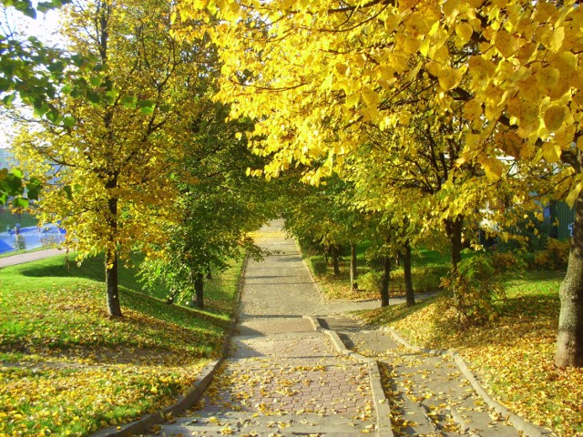 Przyjaźń powinna być jasna, prosta i kolorowa:)