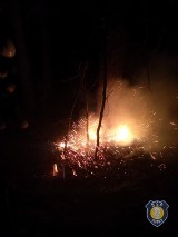 Pożar lasu w Chachalni [ZDJĘCIA]                      