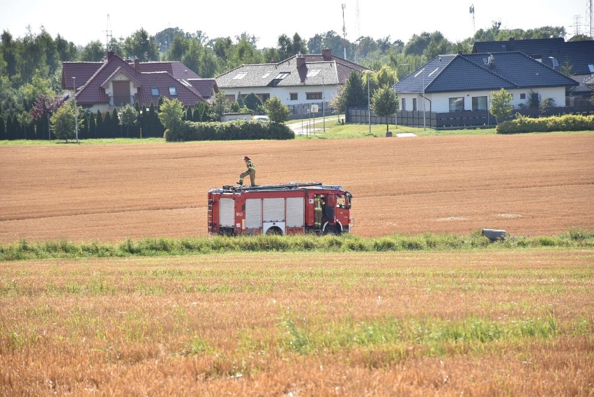 Strażacy po akcji uwolnienia sarenki na polu na Osiedlu Południe