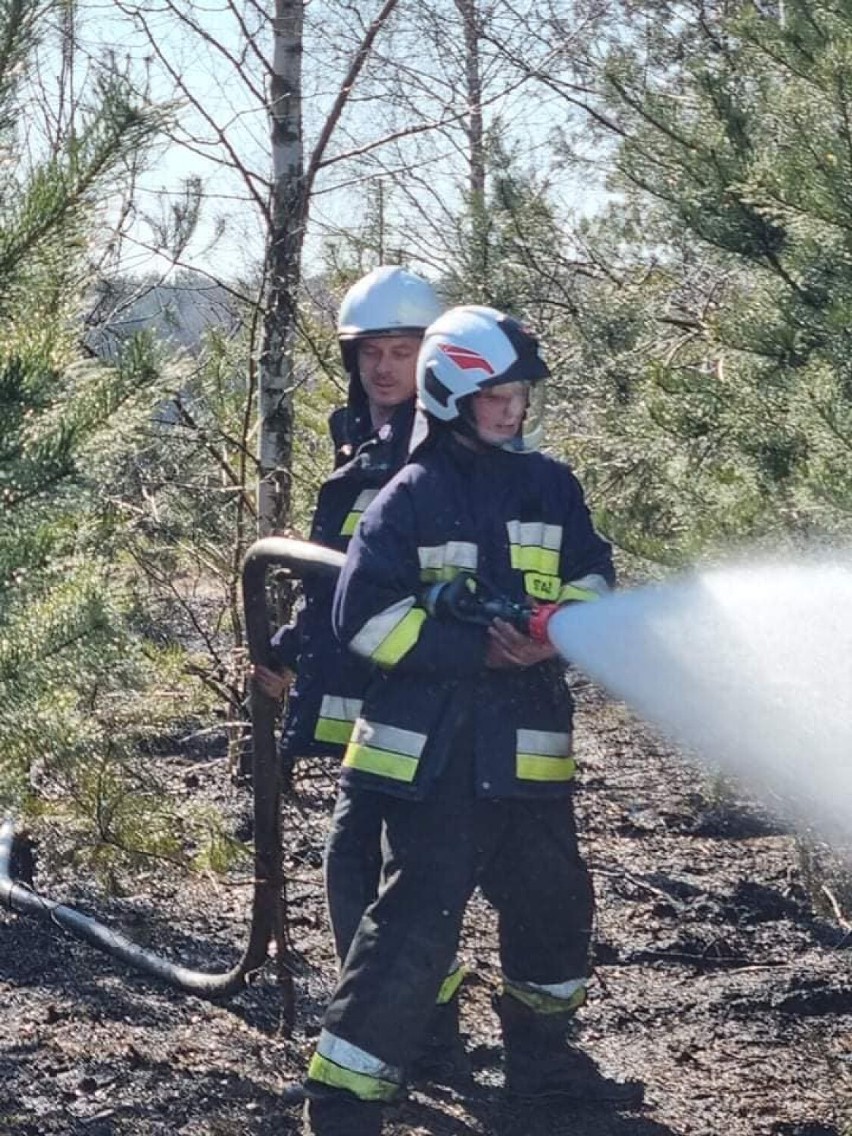 Dzięki szybkiej reakcji nastolatka, strażacy ugasili pożar lasu [zdjęcia]