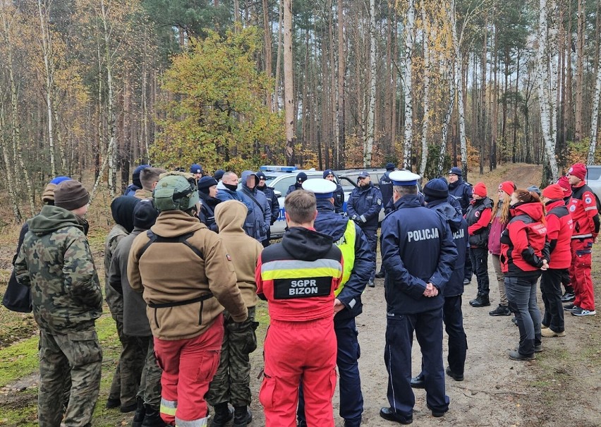 Szukali w lesie zaginionych dzieci. Wspólne ćwiczenia służb we Włocławku i okolicy. Zdjęcia