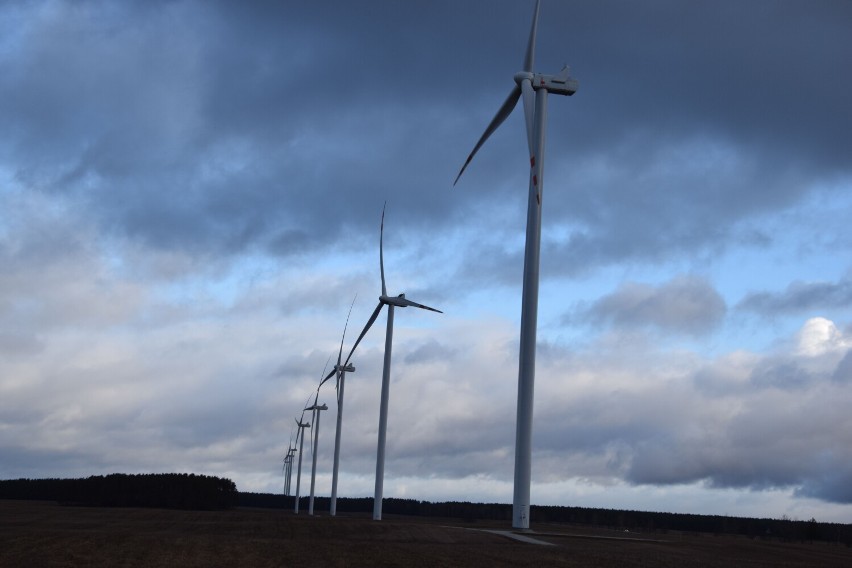 Las współczesnych wiatraków w gminie Biały Bór już wytwarza prąd [zdjęcia]