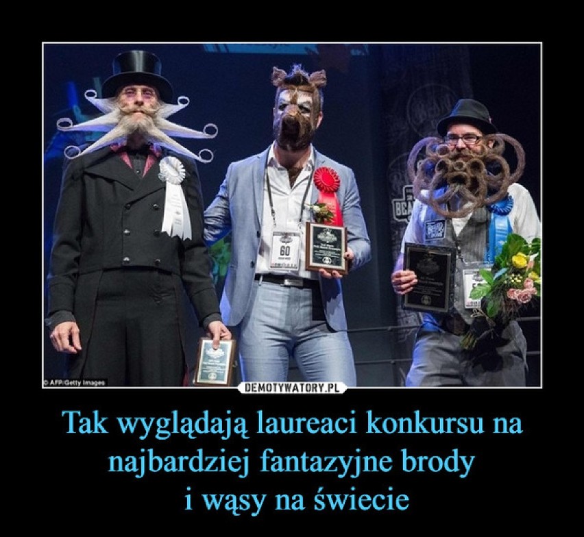 Ale wąsy! Dziwne, straszne, oryginalne. Zobacz zdjęcia! 