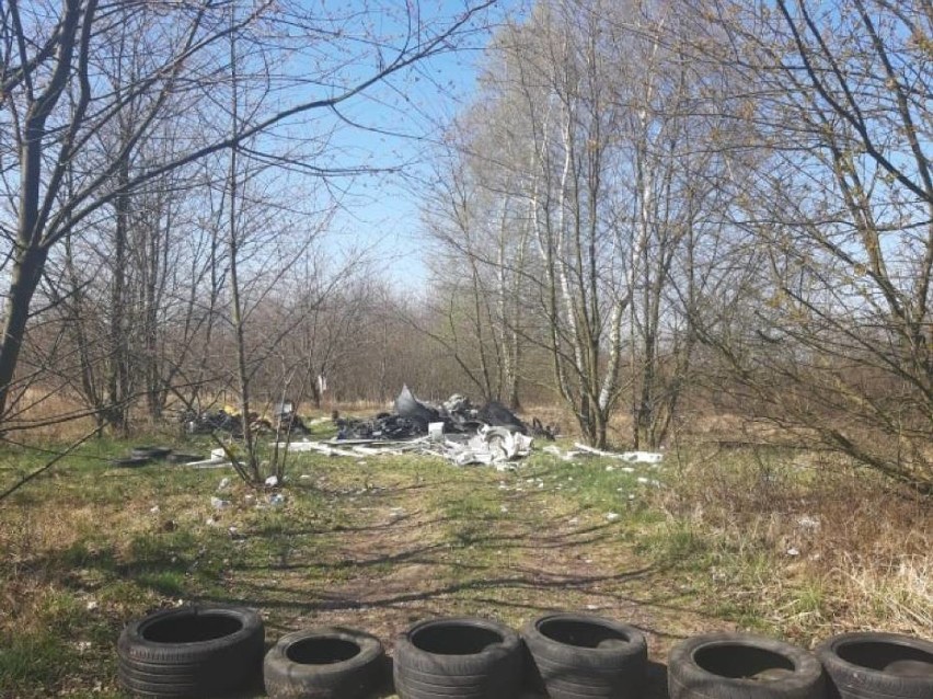 Śmieci w Oleśnicy wciąż zmorą. Czy Oleśnica ma szansę stać się miastem czystym i ekologicznym? 