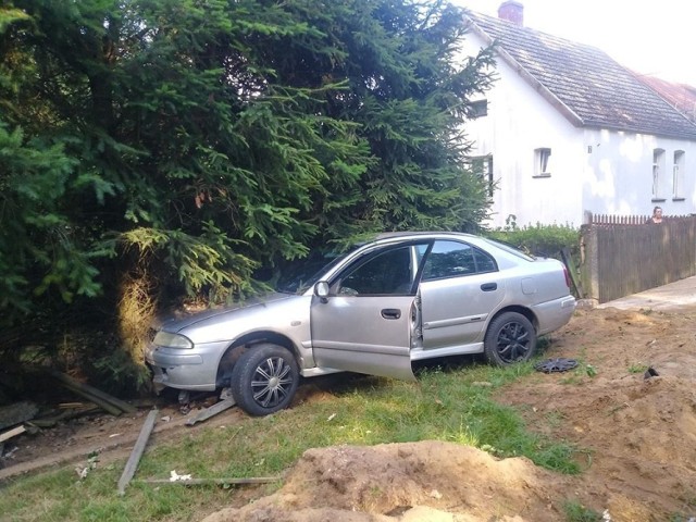 Do zdarzenia doszło w niedzielę, 21 lipca, w miejscowości Wysoka koło Gorzowa. Z drogi wypadło mitsubishi. Kierowca był kompletnie pijany.

Kierujący mitsubishi wypadł z drogi na prostym odcinku. Samochód zjechał na pobocze i roztrzaskał ogrodzenie. Na miejsce została wezwana gorzowska policja. 

Okazało się, że kierujący mitsubishi jest kompletnie pijany. Kiedy dmuchnął w alkomat wyszło, że ma ponad dwa promile alkoholu. Kierujący ledwo stał na nogach. Nic mu się nie stało. Teraz grozi mu kara do dwóch lat więzienia, zakaz prowadzenia nawet na 15 lat i grzywna nie niższa niż 5 tys. zł.



Zobacz też: 
Pijany kierowca tira cofał na S3


Pijany kierowca sam wpadł w ręce policji. Jechał pod prąd i uderzył w radiowóz
