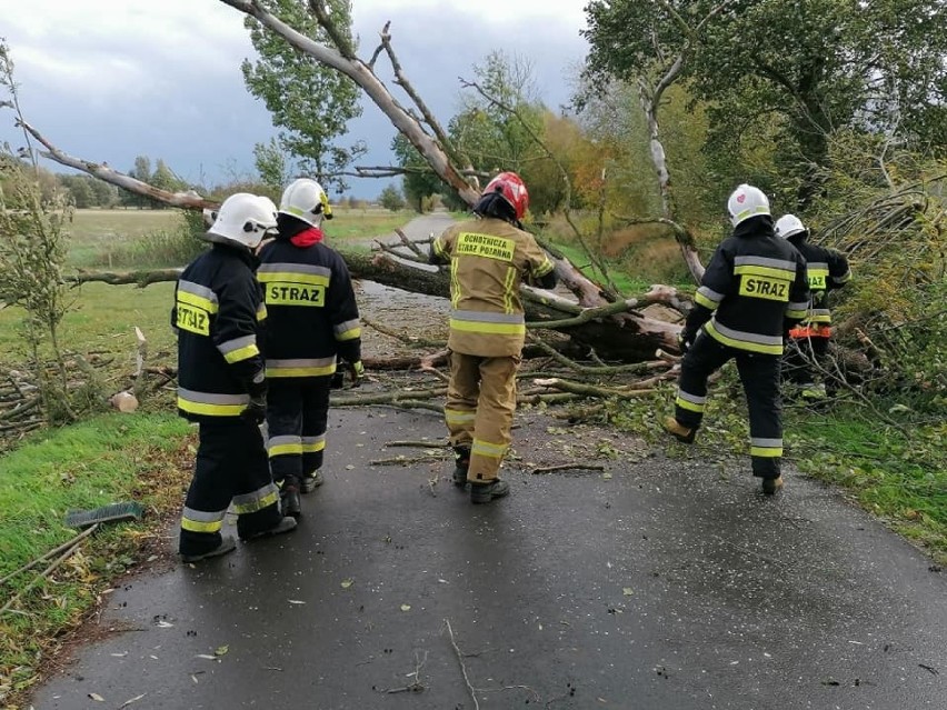 Strażacy z Bogdańca dostali wezwanie do powalonego drzewa na...