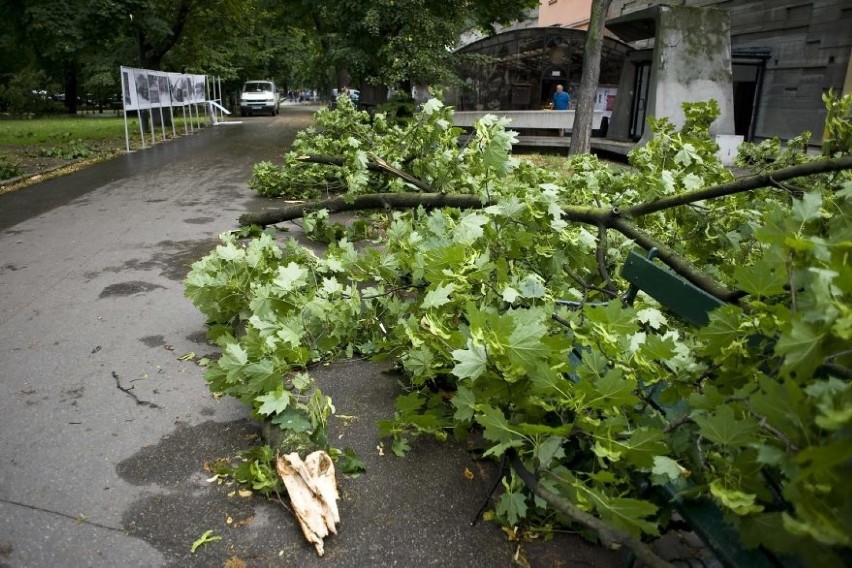 Burza w Krakowie. Straż pożarna usuwa skutki