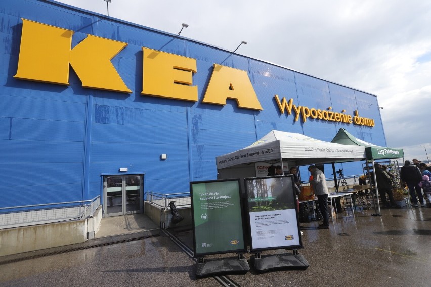  Sadzonki drzew i kwiatów w zamian za elektrośmieci. Lasy Państwowe, IKEA Katowice i Remondis wymieniały surowce wtórne na drzewka