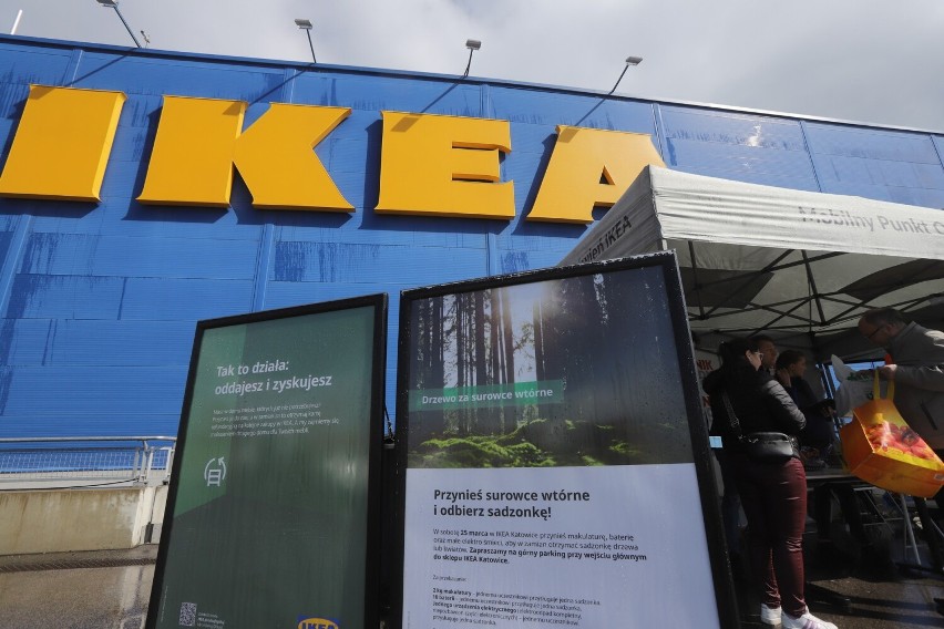  Sadzonki drzew i kwiatów w zamian za elektrośmieci. Lasy Państwowe, IKEA Katowice i Remondis wymieniały surowce wtórne na drzewka