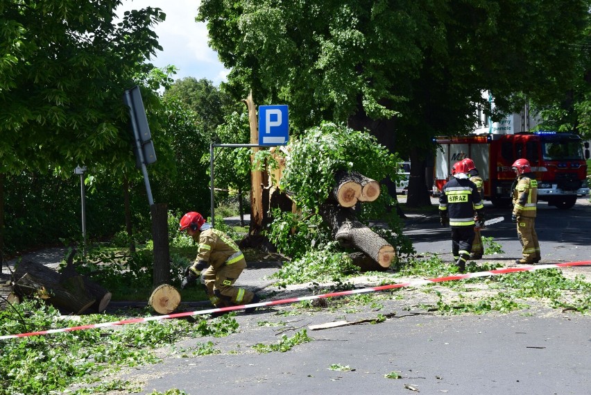 Wichura powaliła drzewo na ul. Reformackiej w Wieluniu FOTO