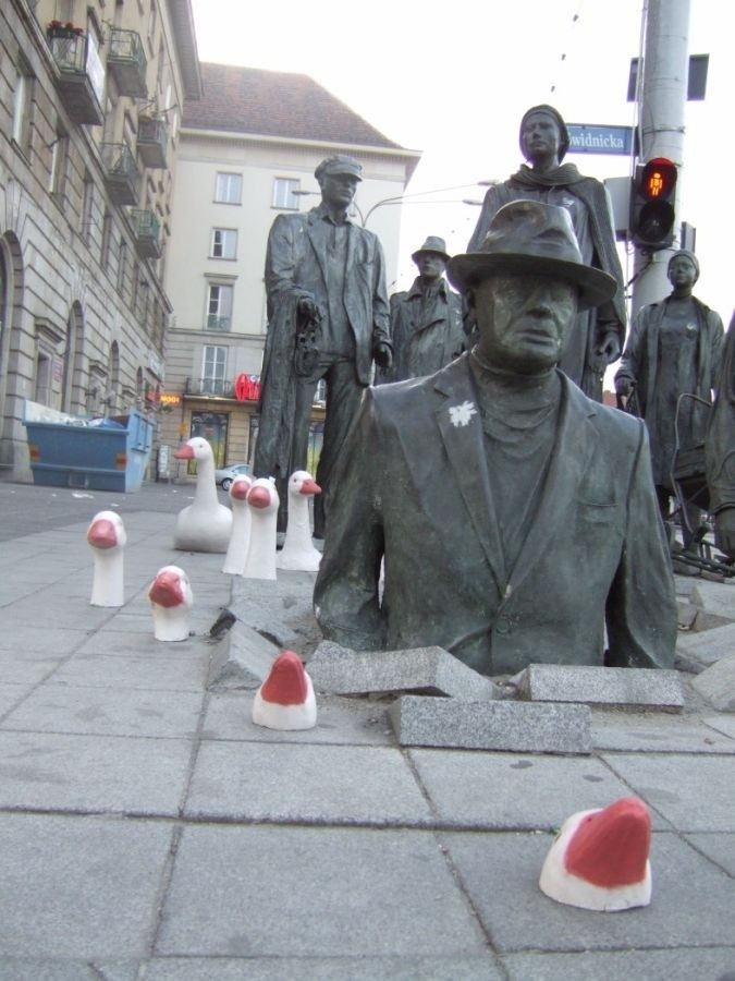 Wrocław: Gęsi przy rzeźbie Anonimowego Przechodnia (ZDJĘCIA)