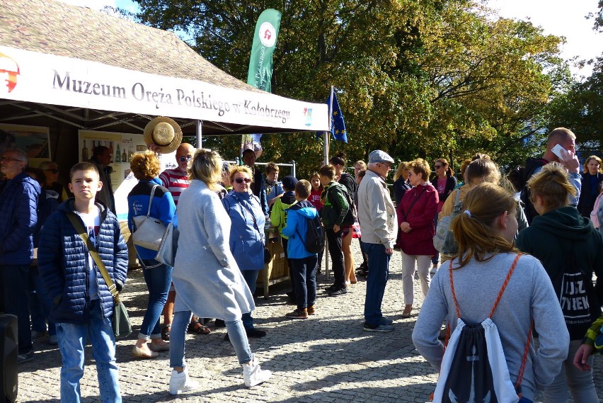 Kolejna gra miejska w Kołobrzegu i poznawanie historii uzdrowiska