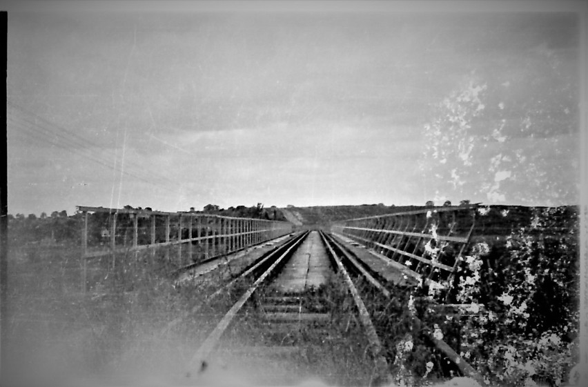 Wojciech Blaszkiewicz zdjęcia fotografii wykonał na potrzeby...