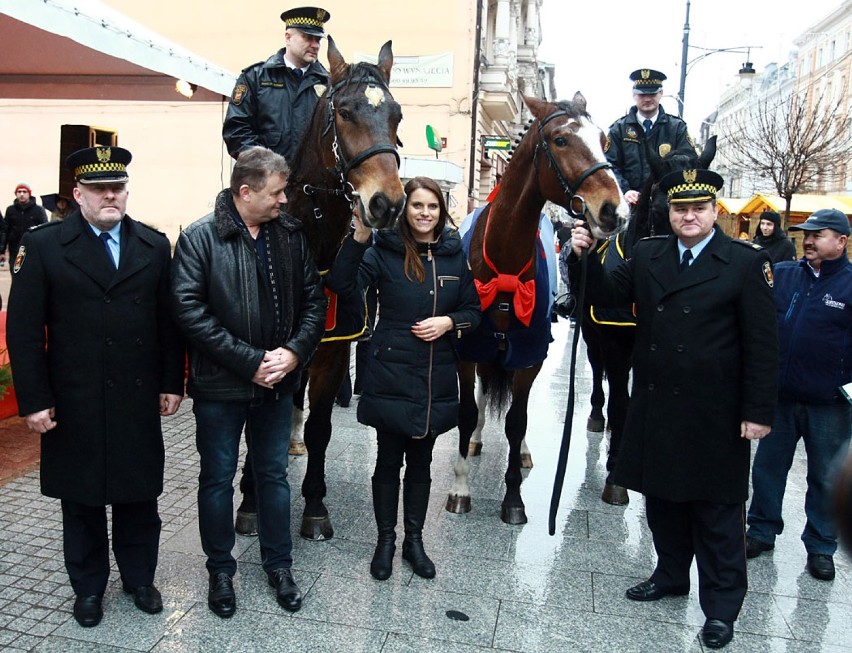 Nowy koń straży miejskiej w Łodzi