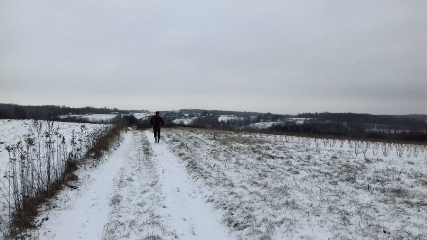 Zimowy bieg wąwozami lessowymi nieopodal Puław (Galeria Zdjęć)