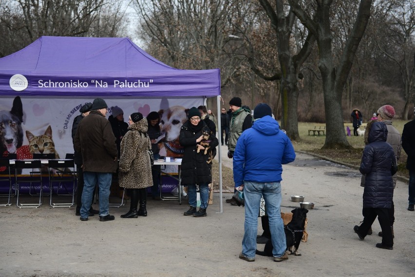 Akcja Adoptuj Warszawiaka. W Parku Skaryszewskim spotkaliśmy najpiękniejsze psiaki [ZDJĘCIA]