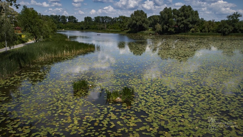Jezioro Powsinkowskie
