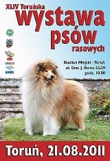 XLIV Toruńska Wystawa Psów Rasowych - zapowiedź