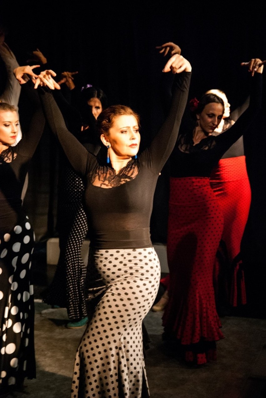 Flamenco we Wrocławiu