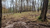 Trwa rewitalizacja cmentarza ofiar II wojny światowej w Leksandrowej k. Nowego Wiśnicza