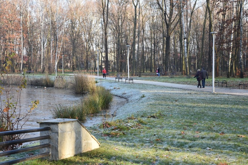 Park Piaskówka w Tarnowie