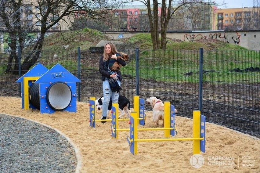 W Wałbrzychu może powstać plac zabaw dla psów albo inaczej...