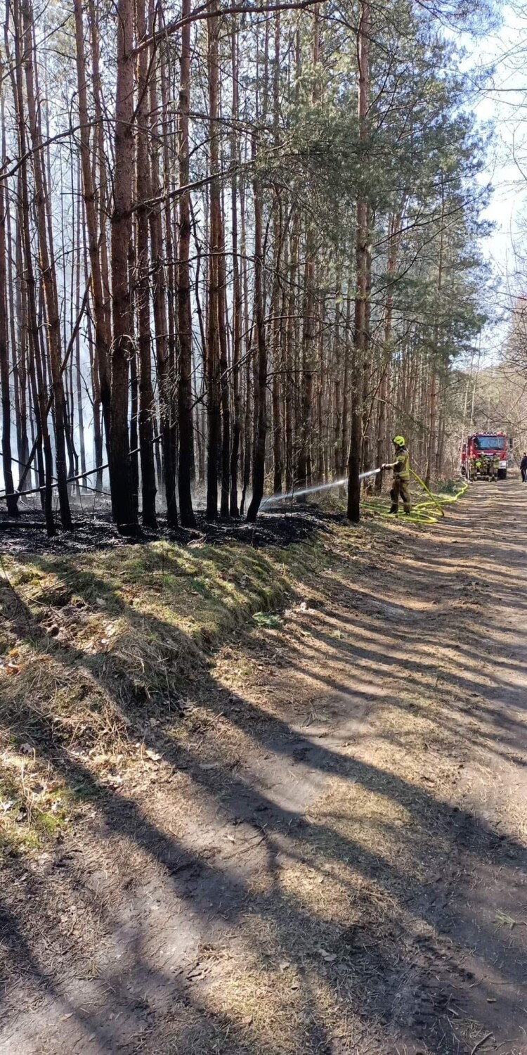 Radomsko/powiat. Strażacy walczą z pożarami suchych traw i lasów