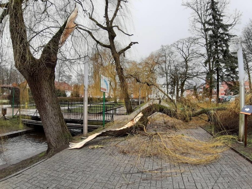 Wichura w Szczecinku wyrządziła dzisiaj duże szkody