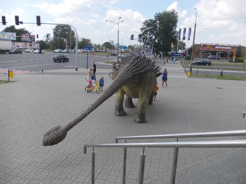 Dinozaury w Galerii Mazovia straszą już tylko do 4 sierpnia!
