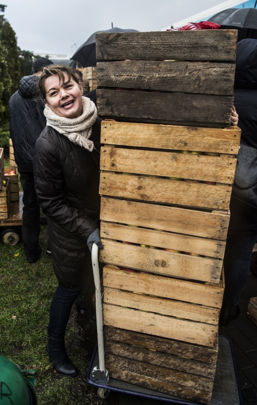 Toruń: Tłumy chętnych ustawiły się po skrzynki z jabłkami...