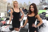 Kobiety na Motor Show 2014: Zobacz najpiękniejsze hostessy! [ZDJĘCIA]