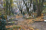 Cmentarz w Golęcinie bez tłumów. A pochowany jest tu m.in obrońca Westerplatte [ZDJĘCIA]