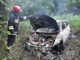 Nowy Sącz pożar samochodu. W lesie zapaliło się auto. Strażacy gasili ogień woda z potoku 