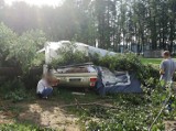 Burze w Lubuskiem! Drzewo przygniotło przyczepę kempingową, w której znajdowało się 12-letnie dziecko. Chłopiec nie zdołał uciec