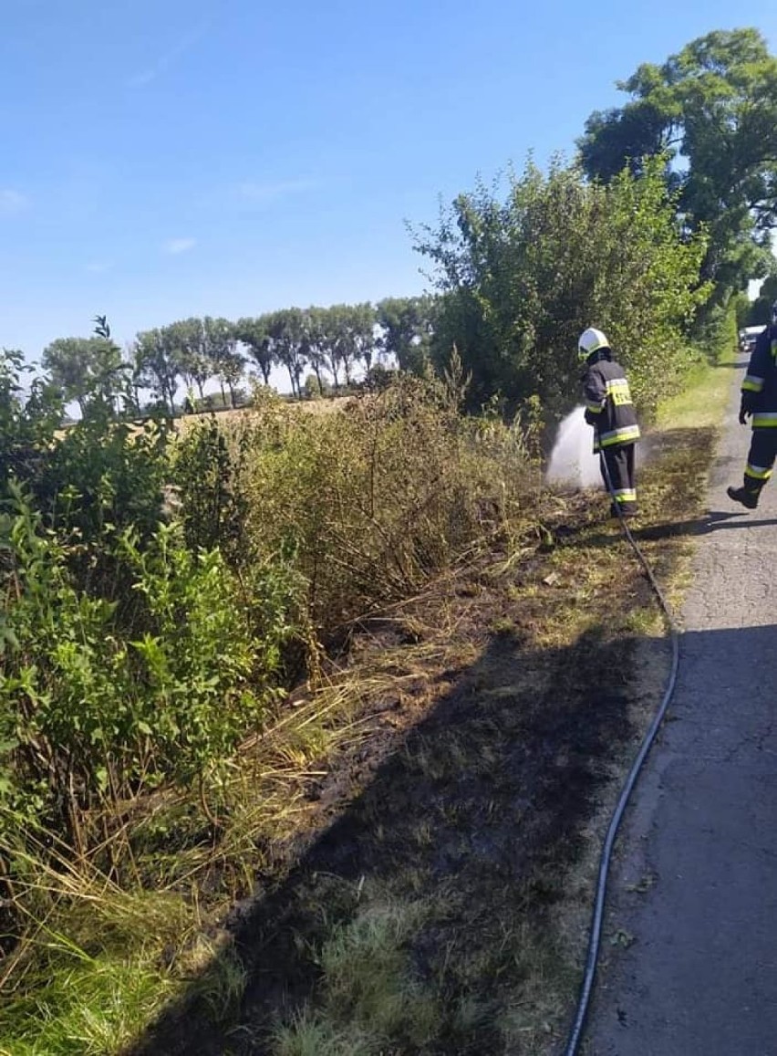 Znów paliły się trawy. Tym razem w miejscowości Grab