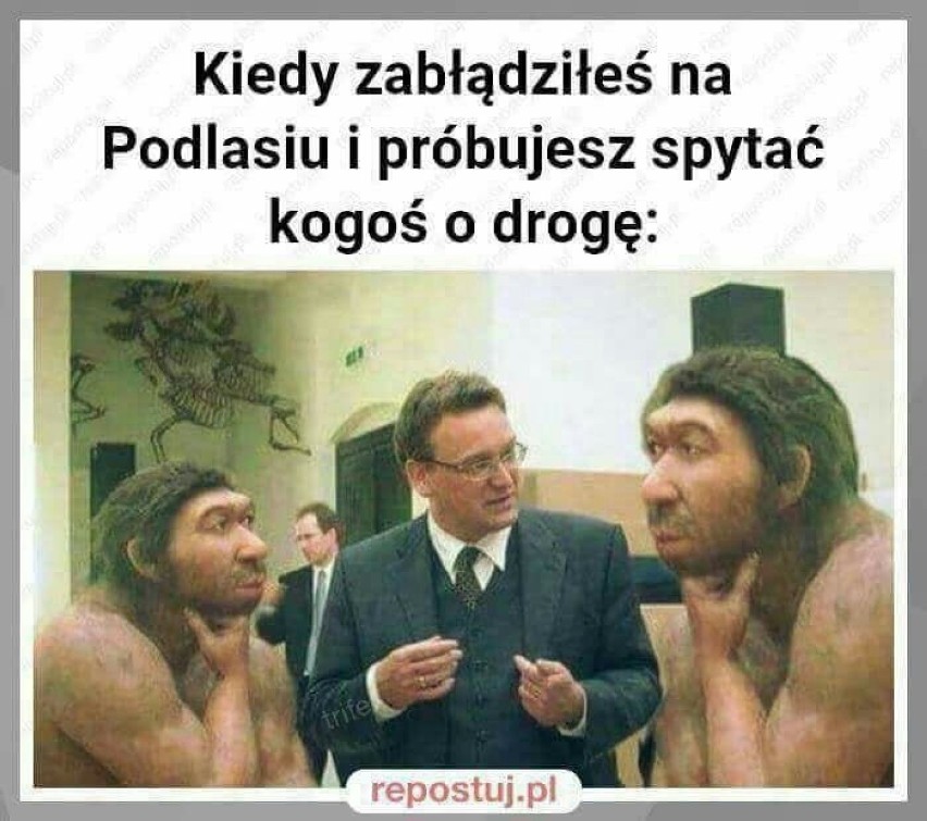 Memy o Podlasiu zalały polski internet
