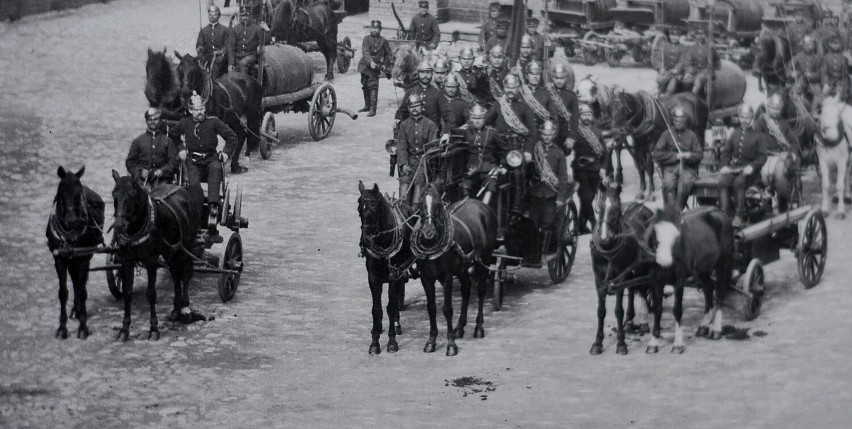 Na początku 1880 roku w straży służyło 18 koni, z roku na...