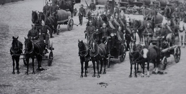 Na początku 1880 roku w straży służyło 18 koni, z roku na rok zwiększano ich liczbę