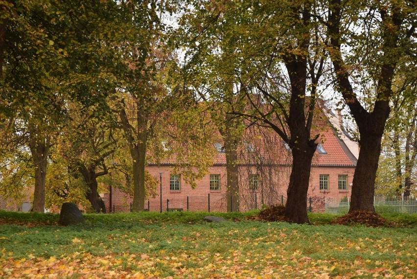 Tak park za Szpitalem Jerozolimskim prezentował się w...