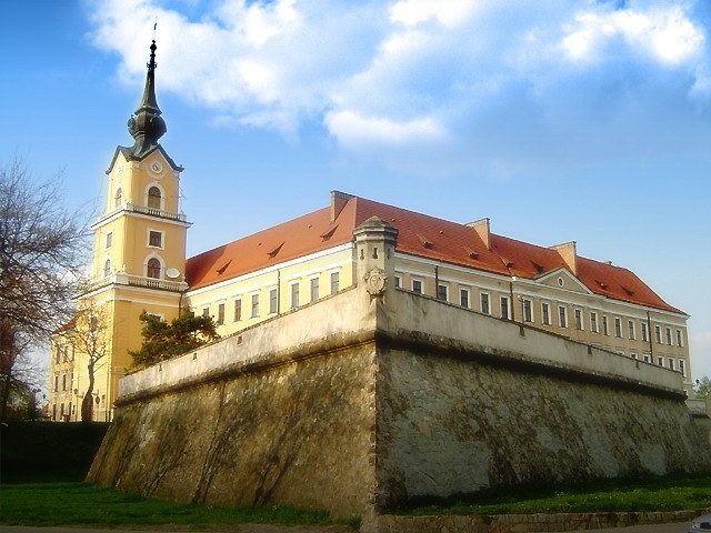 Rzeszowski zamek jest budynkiem wzniesionym praktycznie od podstaw w latach 1902&#8211;1906 wg barokowych planów zrekonstruowanych przez Z. Hendla i F. Skowrona. Konstrukcja osadzona jest jednak na autentycznych XVII-wiecznych fortyfikacjach bastionowych projektu Tylmana z Gramen.