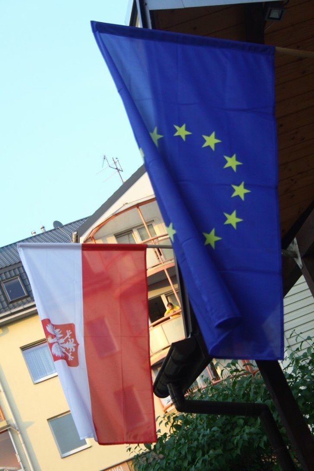 Eurowybory 2014: Wyniki puławskich i ryckich kandydatów