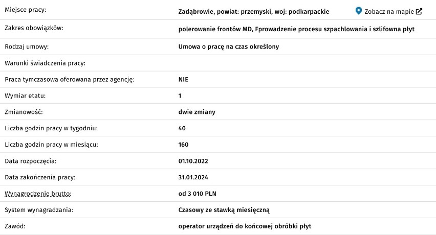 Aktualne oferty Powiatowego Urzędu Pracy w Przemyślu. Ile można zarobić? [PAŹDZIERNIK 2022]