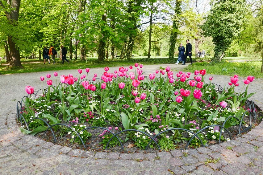 Najpiękniejszy park w Warszawie w pełnym rozkwicie.
