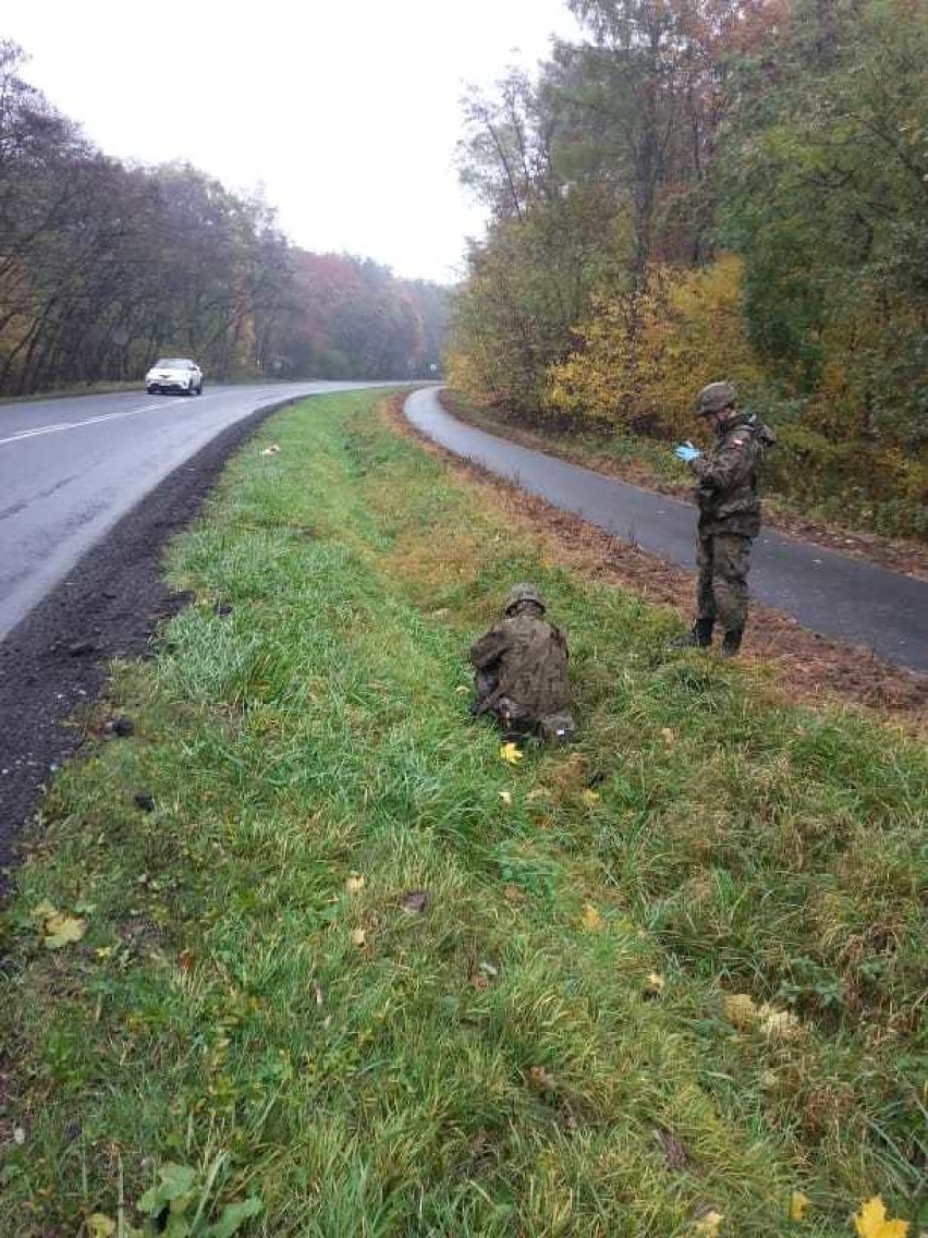 Żołnierze pomogli potrąconemu psu