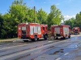 Pożar w Kielcach. Sześć zastępów strażaków walczyło z ogniem w pustostanie