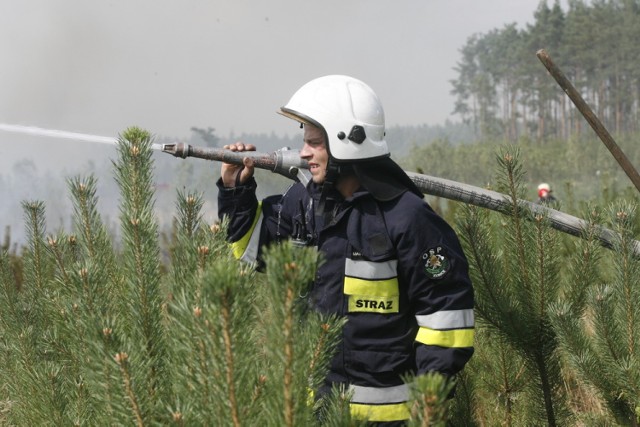 Płonie 50 hektarów lasu