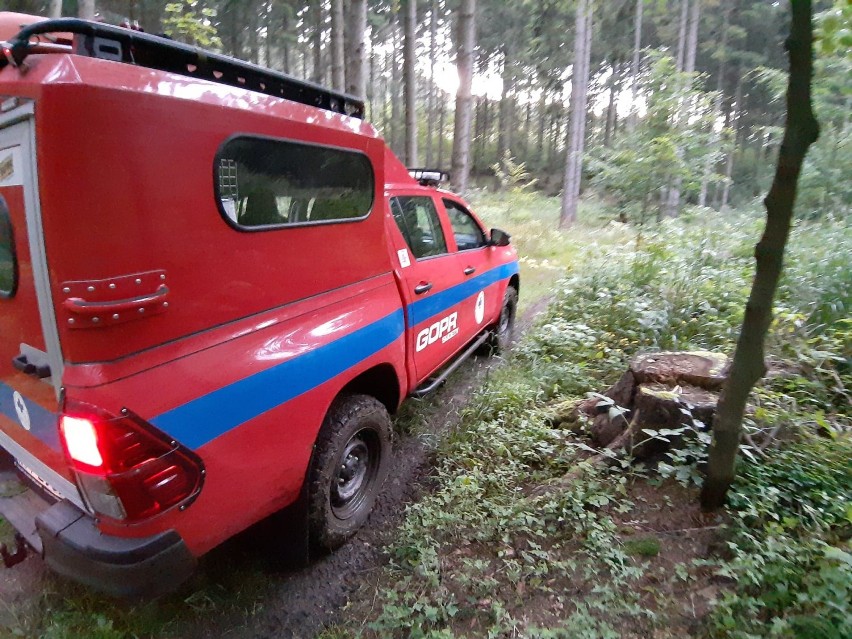 Kilka godzin szukali desperata w lesie. Profiler z Wałbrzycha uratował mu życie...