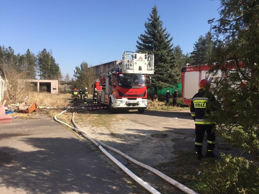 Pożar pustostanu na ulicy Folwark Piaski w Ostrowcu. Strażacy gasili ogień z wysokości [ZDJĘCIA] 
